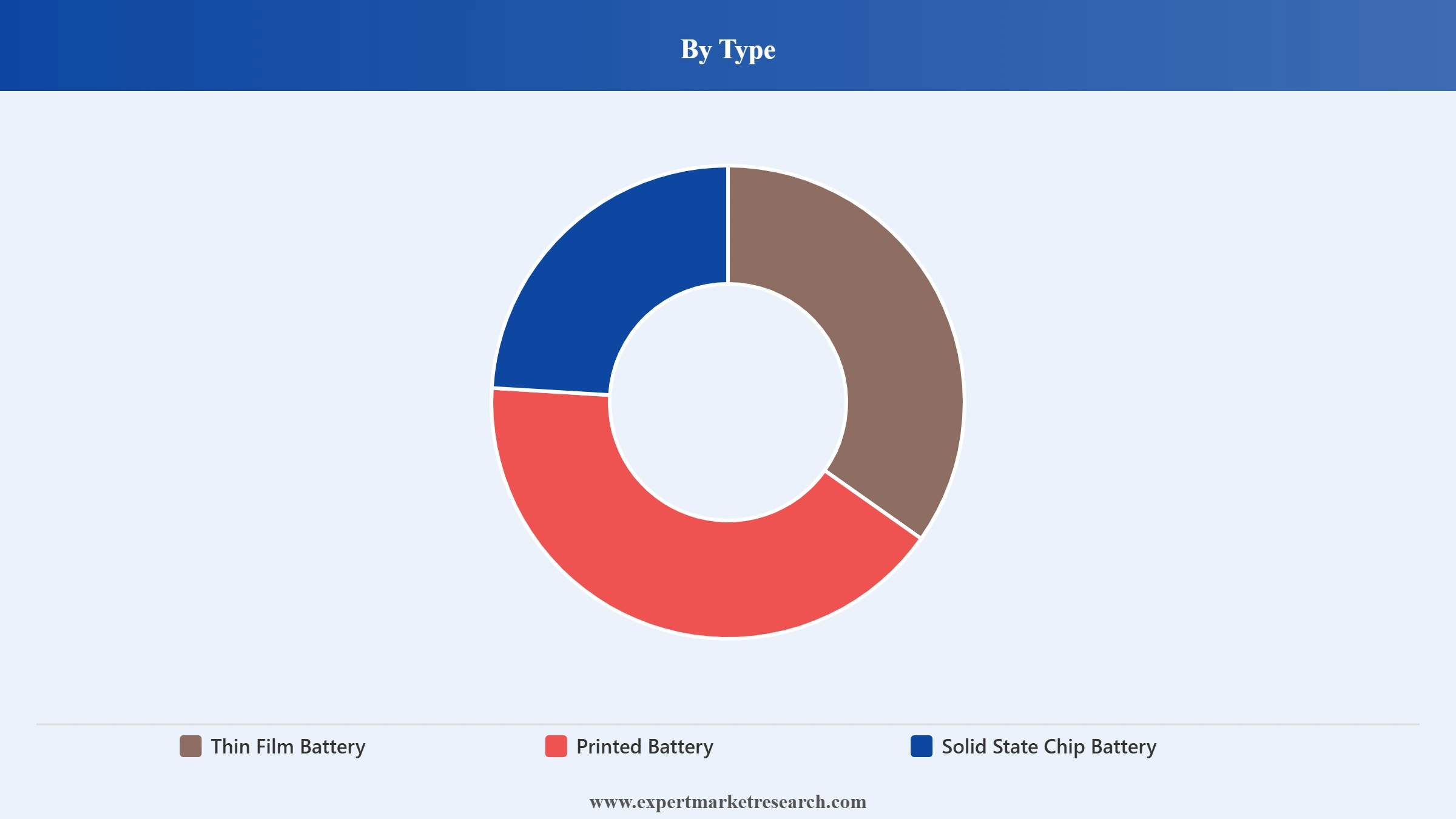 Micro Battery Market Segment Type