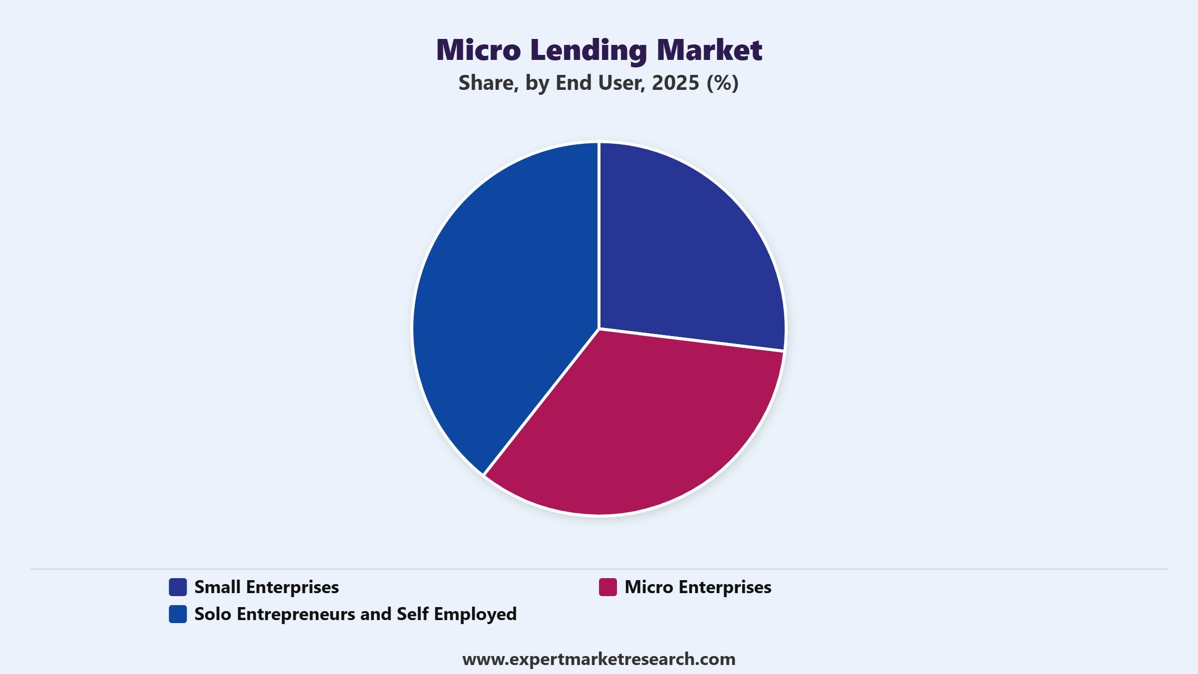 Micro Lending Market Segment End User