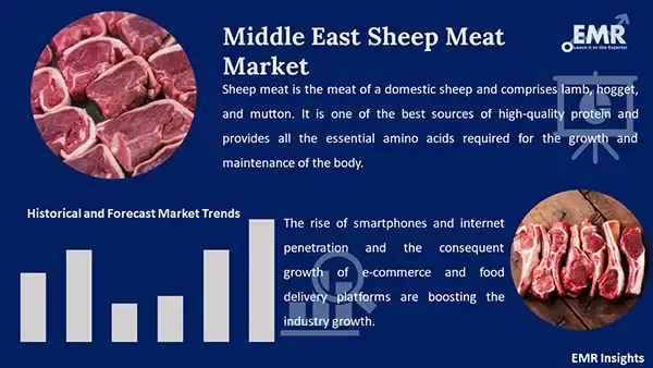 Middle East Sheep Meat Market