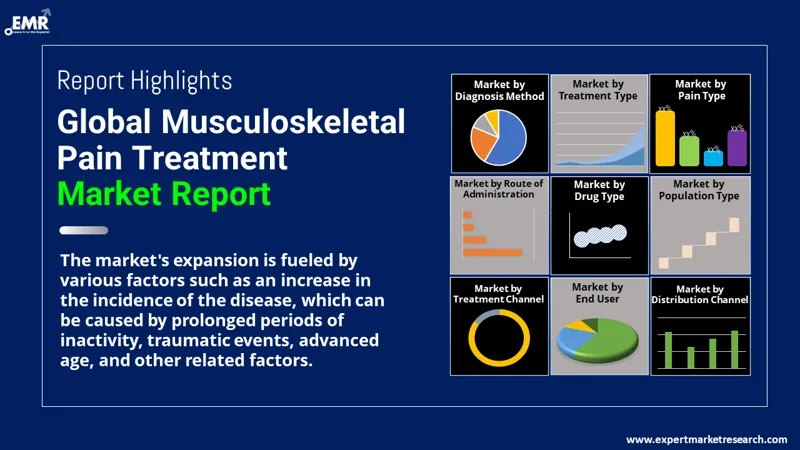 musculoskeletal pain treatment market by segments