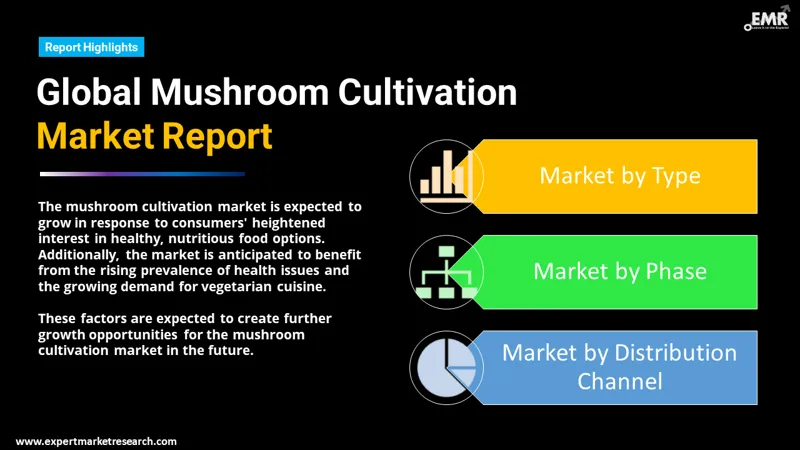 mushroom cultivation market by segments