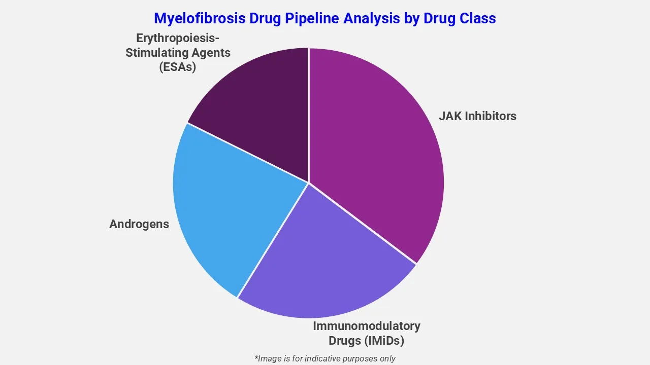 Myelofibrosis Drug Pipeline Analysis By Drug Class