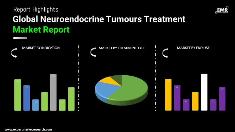 neuroendocrine tumours treatment market by segmentation