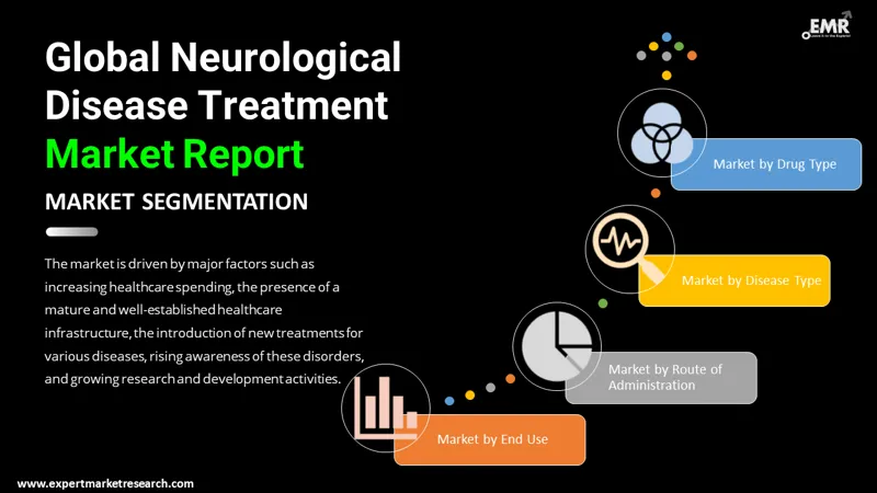 neurological-disease-treatment-market-by-segmentation