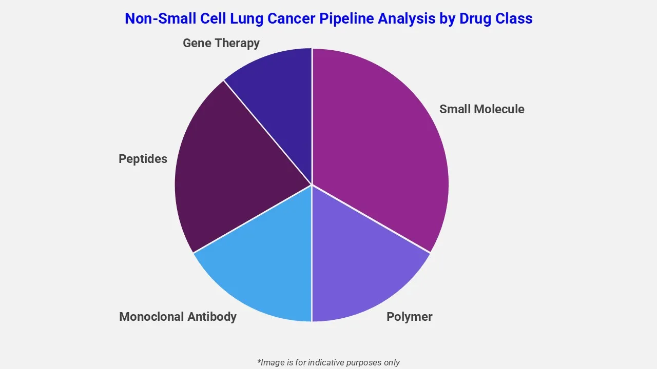 Non Small Cell Lung Cancer Pipeline Analysis By Drug Class