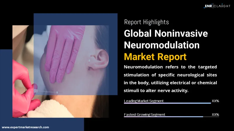 Global Noninvasive Neuromodulation Market