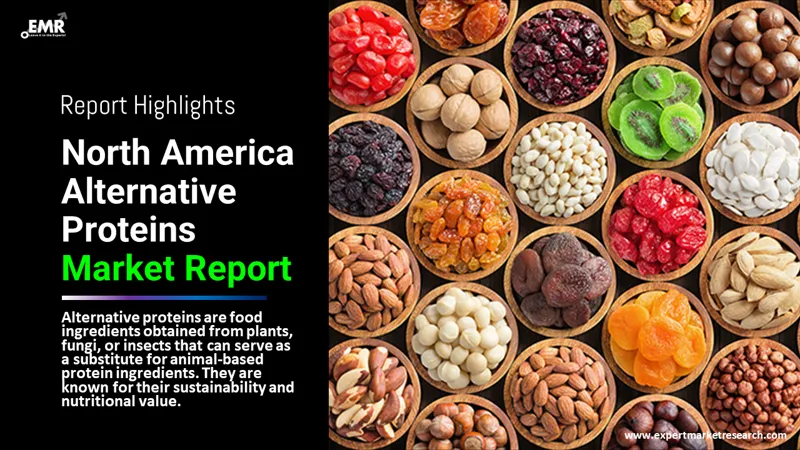 north america alternative proteins market