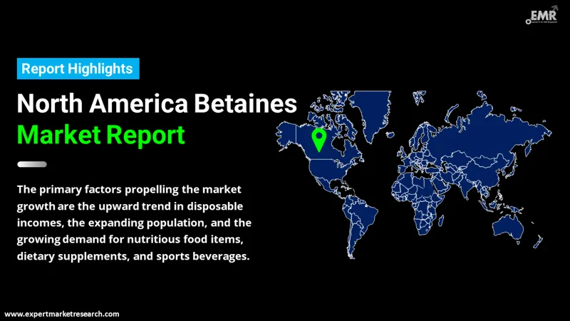 North America Betaines Market By Region