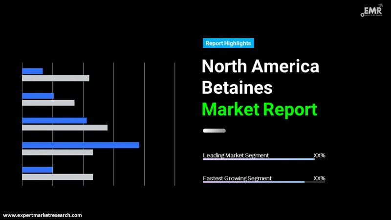 North America Betaines Market