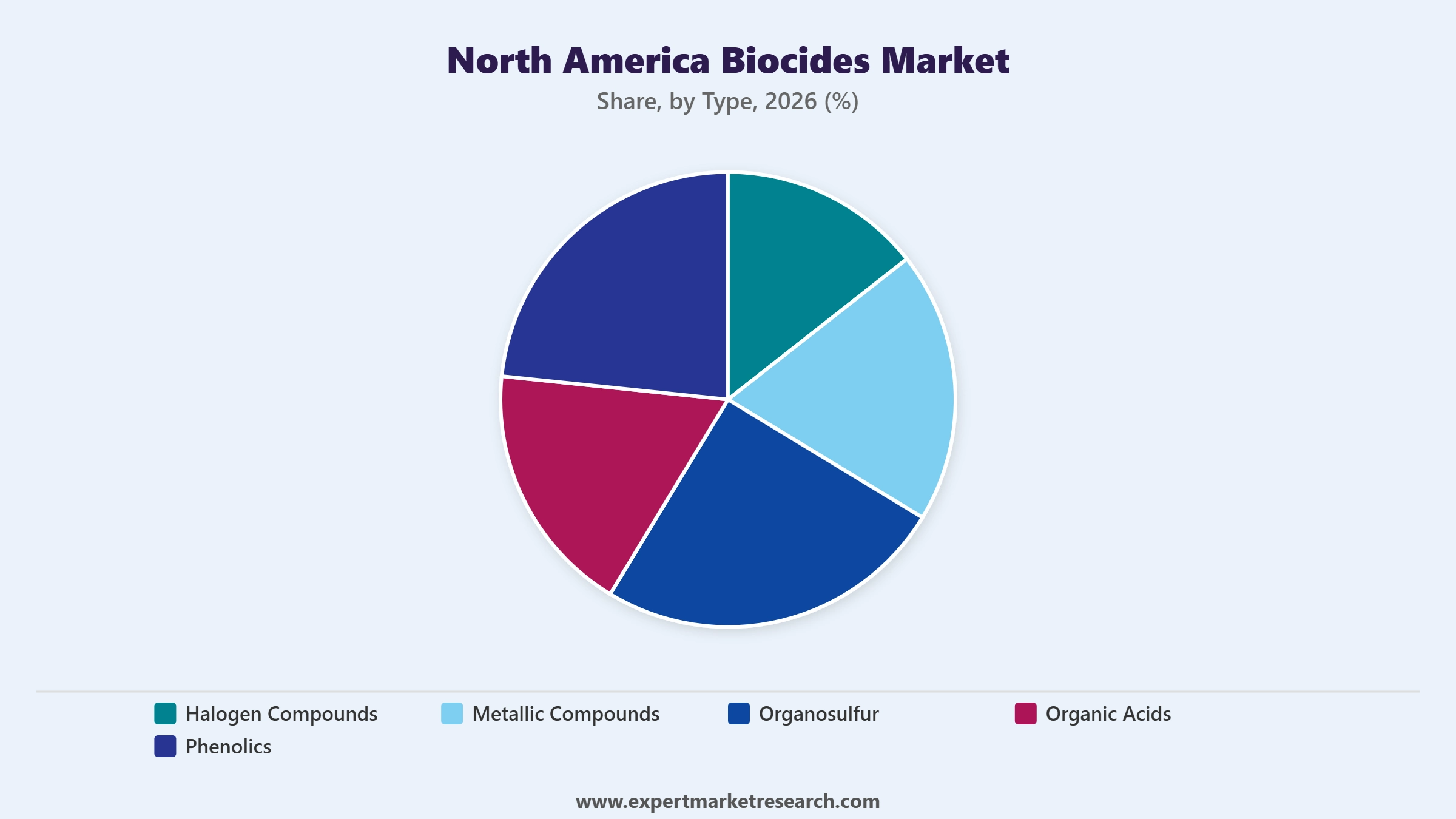 North America Biocides Market Segment Type