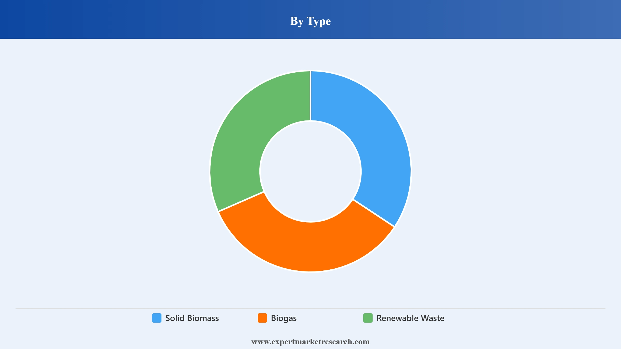 North America Bioenergy Market Segment Type