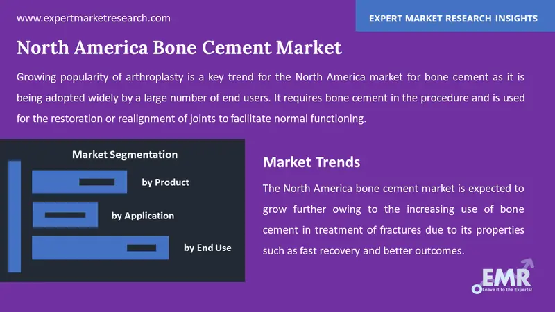 north america bone cement market by segments