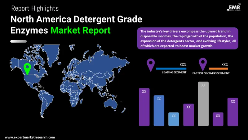 North America Detergent-Grade Enzymes Market By Region