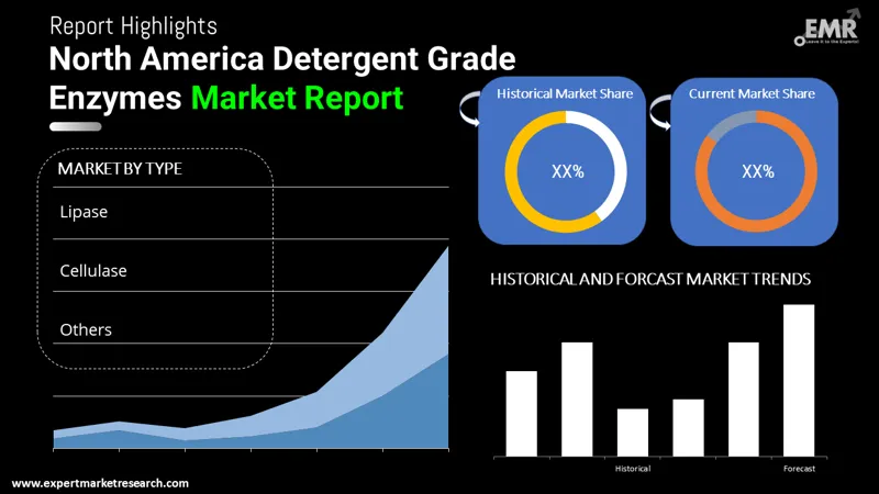 North America Detergent-Grade Enzymes Market By Segments