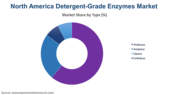North America Detergent-Grade Enzymes Market By Type