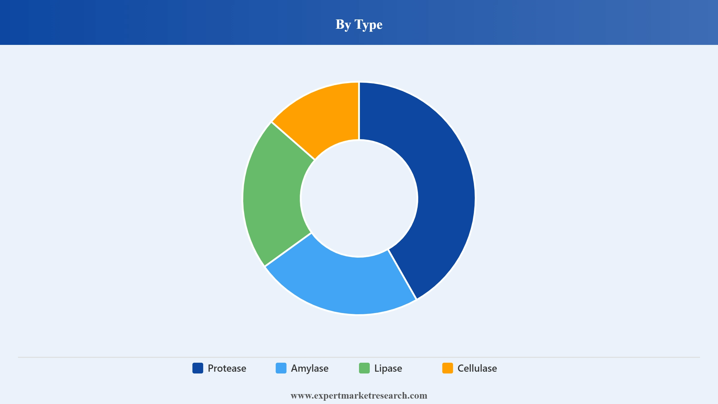 North America Detergent Grade Enzymes Market Segment Type