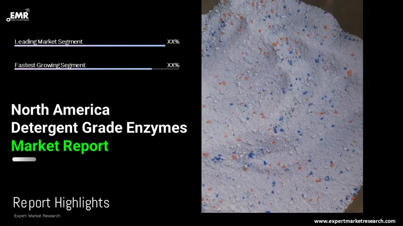 North America Detergent Grade Enzymes Market