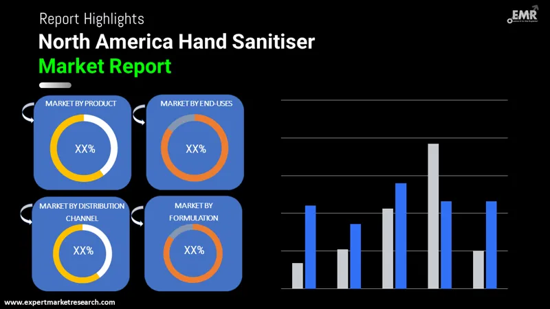 North America Hand Sanitiser Market by Segments