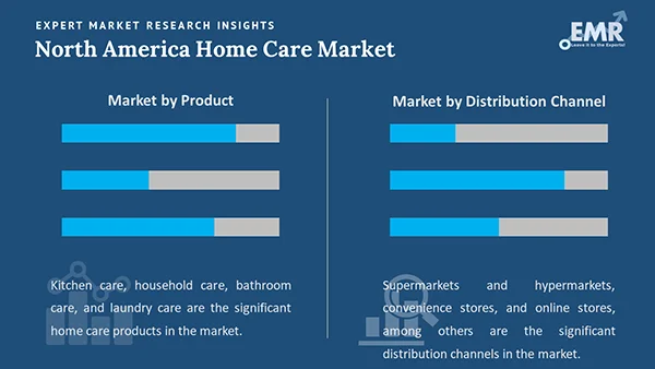 North America Home Care Market by Segment