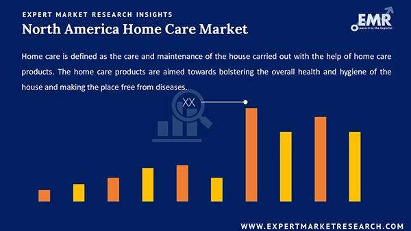 North America Home Care Market
