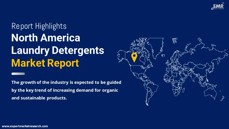 North America Laundry Detergents Market By Region