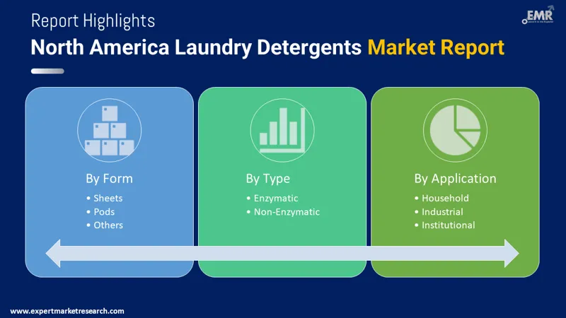 North America Laundry Detergents Market By Segments