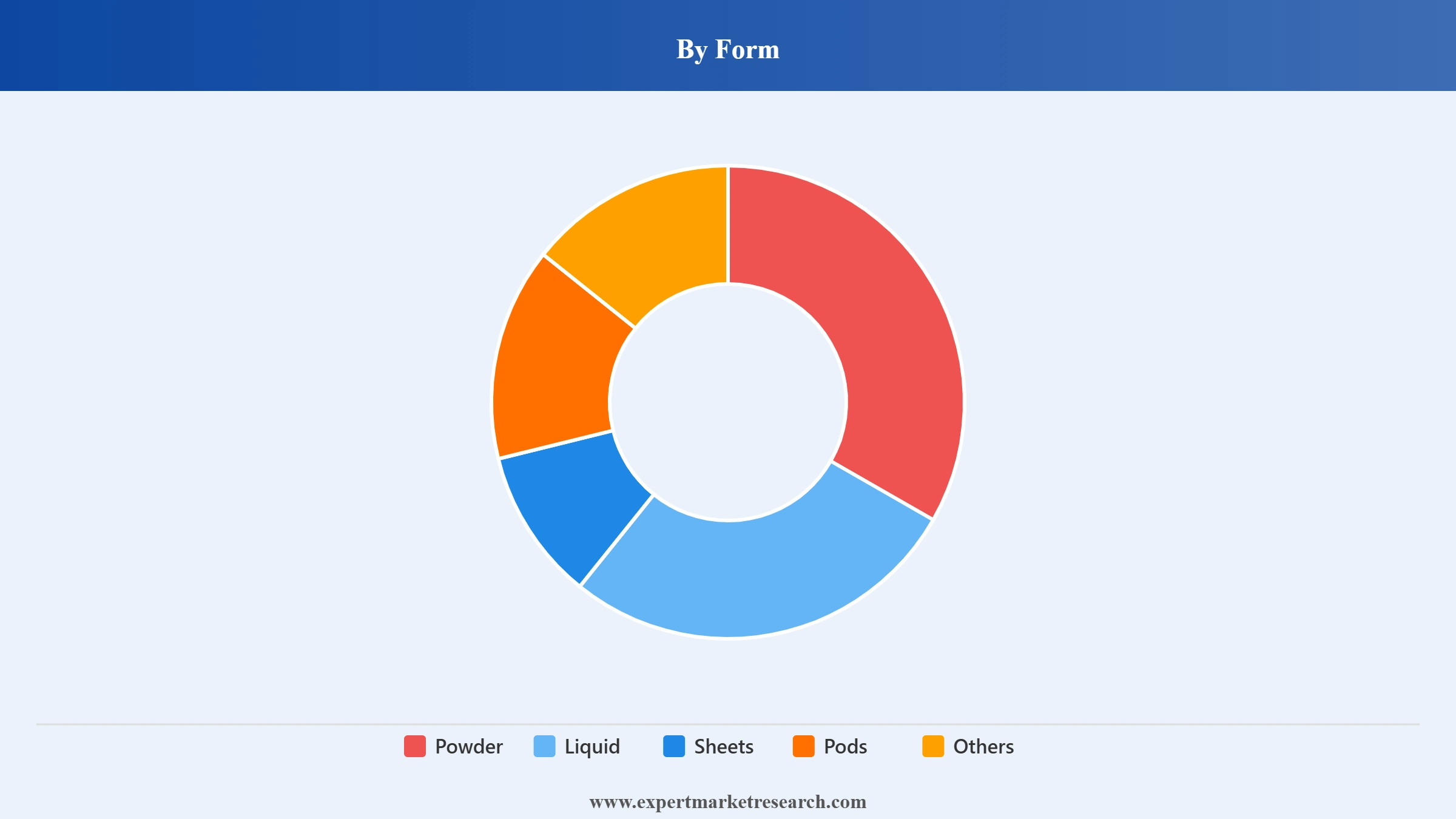 North America Laundry Detergents Market Segment Form