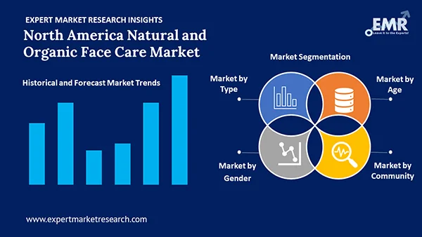 North America Natural and Organic Face Care Market by Segment