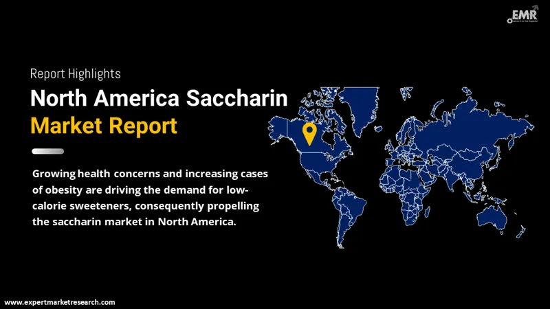 North America Saccharin Market By Region