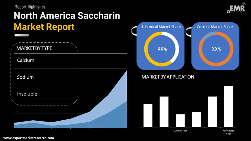 North America Saccharin Market By Segments