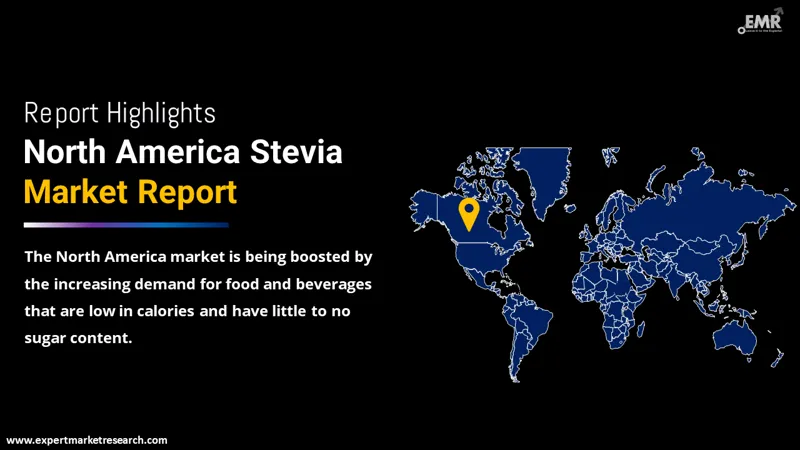 North America Stevia Market By Region