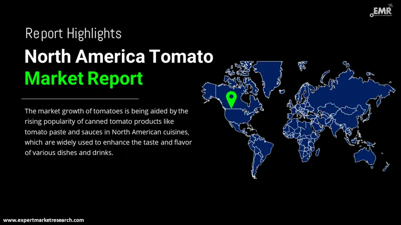 north america tomato market by region