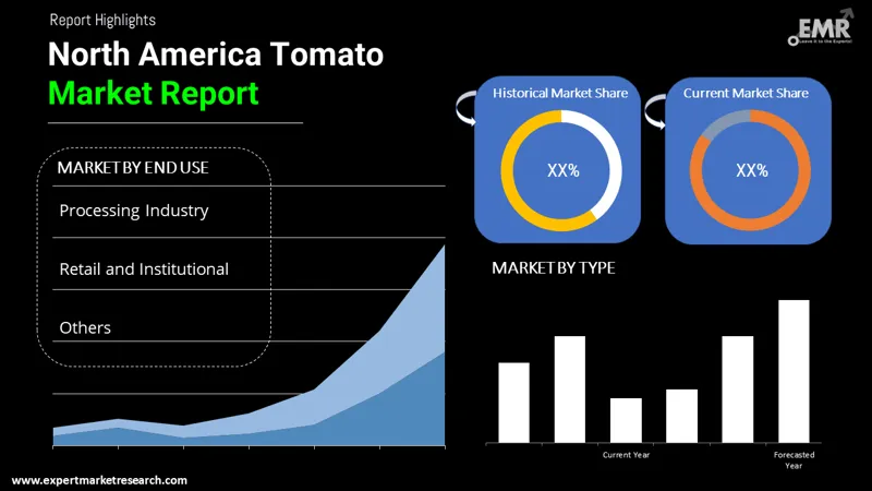 north america tomato market by segments