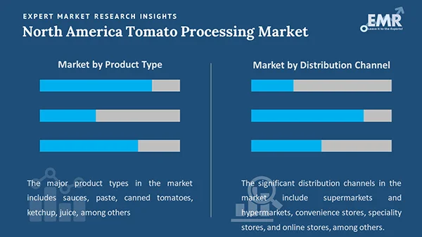North America Tomato Processing Market by Segment