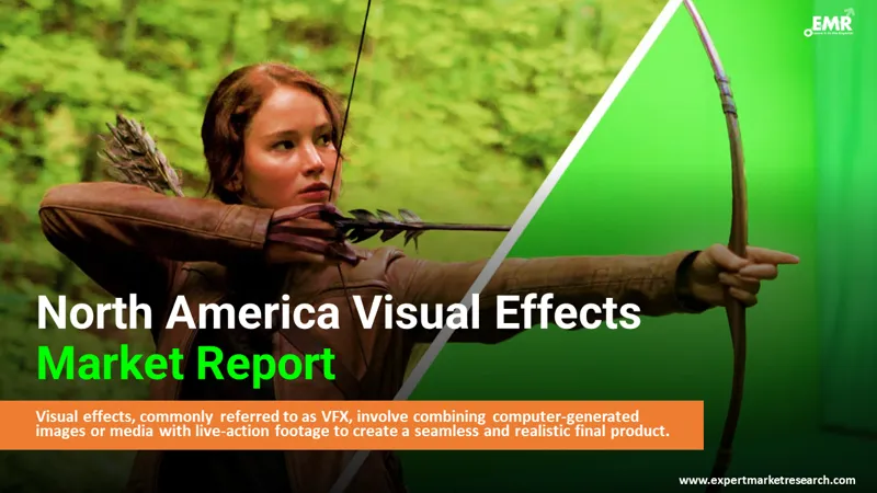 north america visual effects market