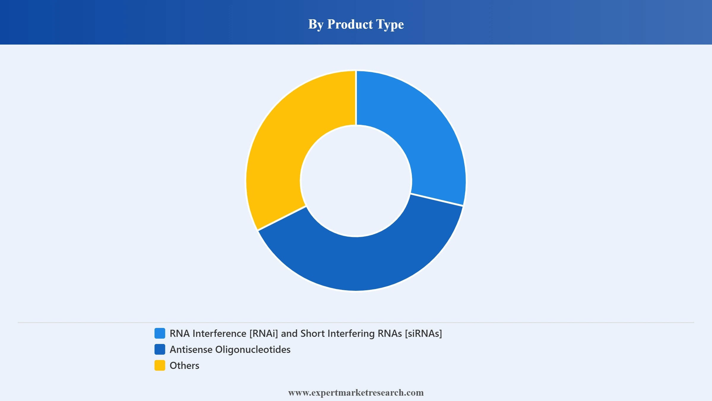 Nucleic Acid Therapeutics Market Segment Product Type