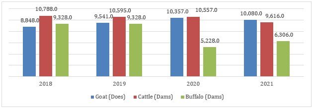 Figure: Number of Dairy Animals in Philippines, 2019-2025