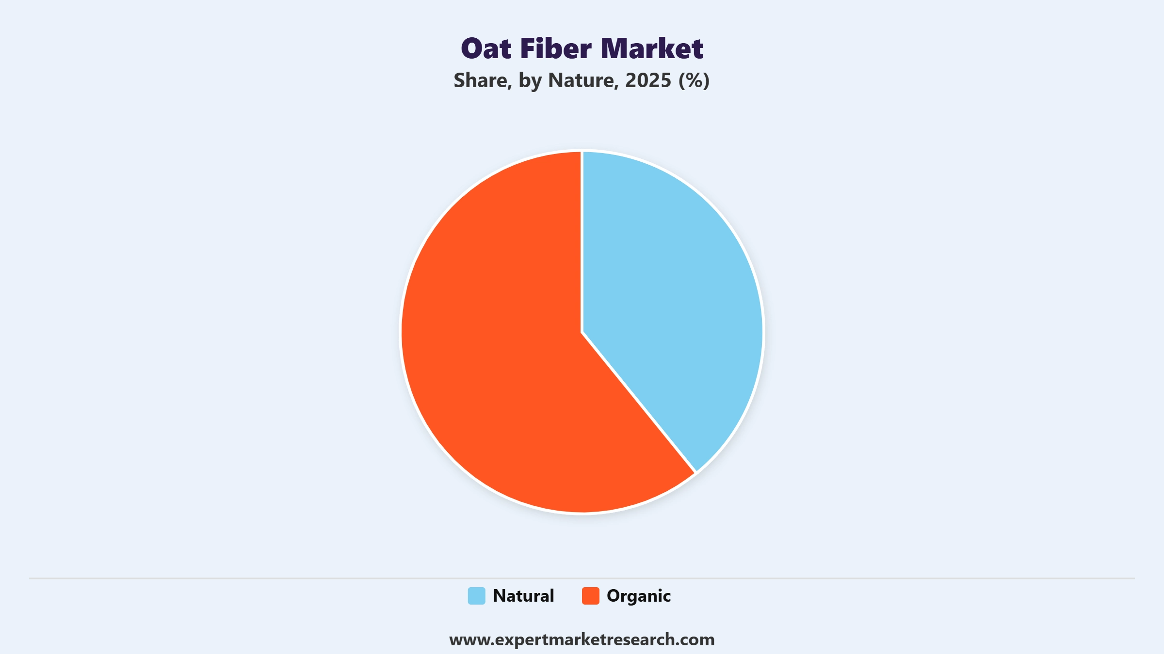 Oat Fiber Market Segment Nature