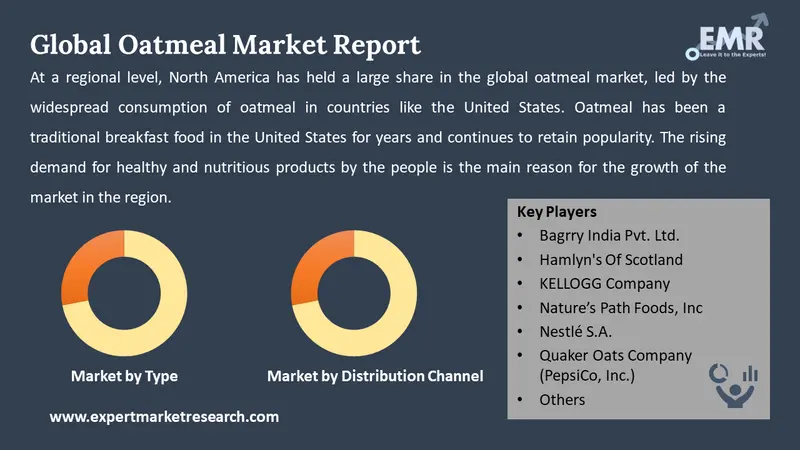 oatmeal market by segments