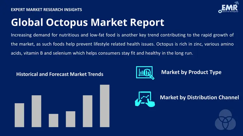 octopus market by segments
