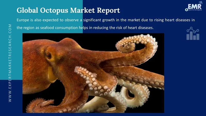 octopus market