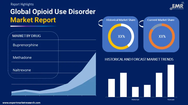 Opioid Use Disorder Market By Segments