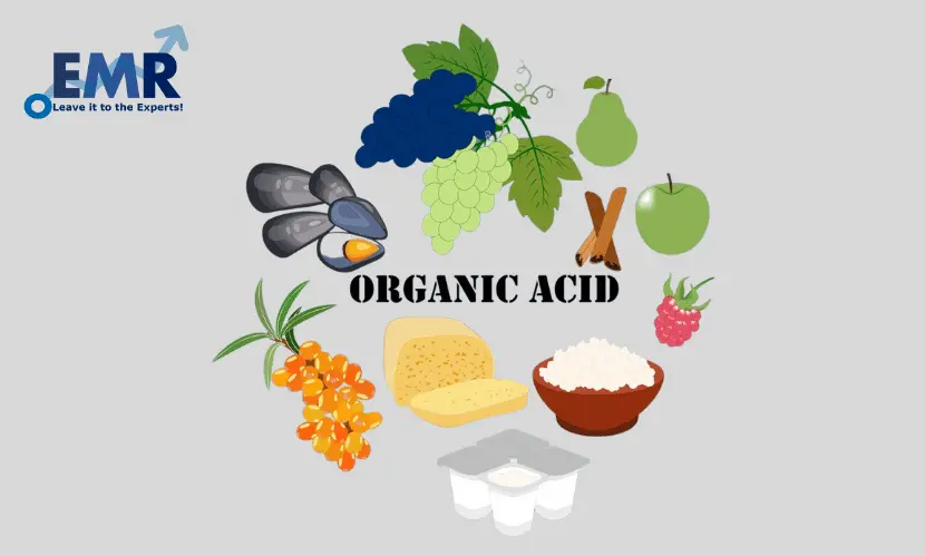 organic acids manufacturers