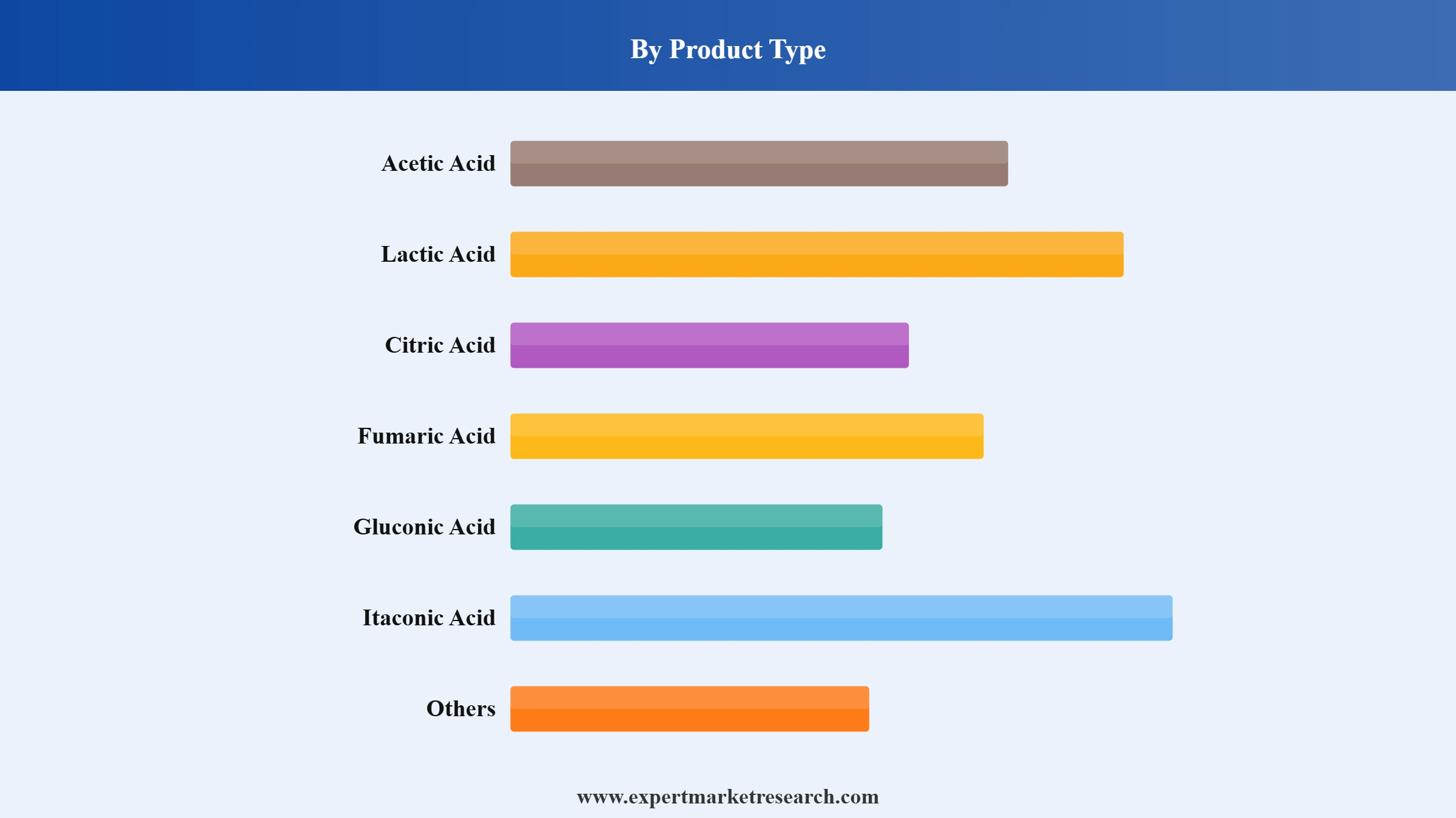 Organic Acids Market Segment Product Type