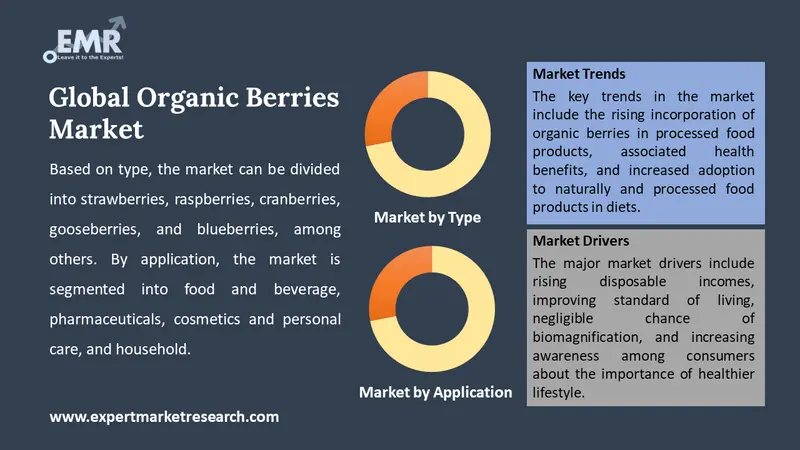 organic berries market by segments