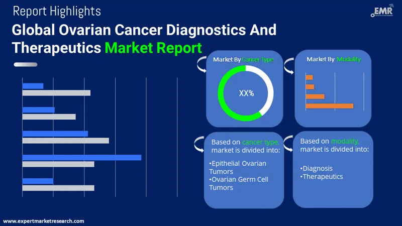 Ovarian Cancer Diagnostics and Therapeutics Market By Segments