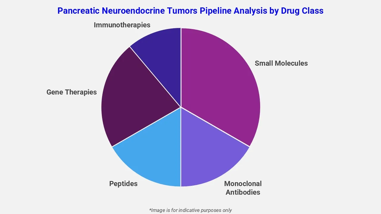 Pancreatic Neuroendocrine Tumors Pipeline Analysis By Drug Class