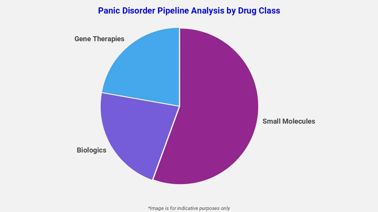 Panic Disorder Pipeline Analysis By Drug Class