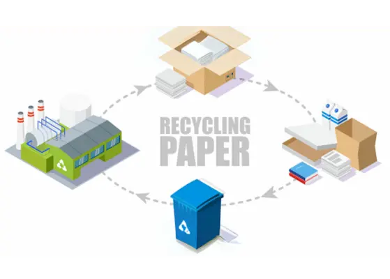 Paper Recycling Efficiency Advancements