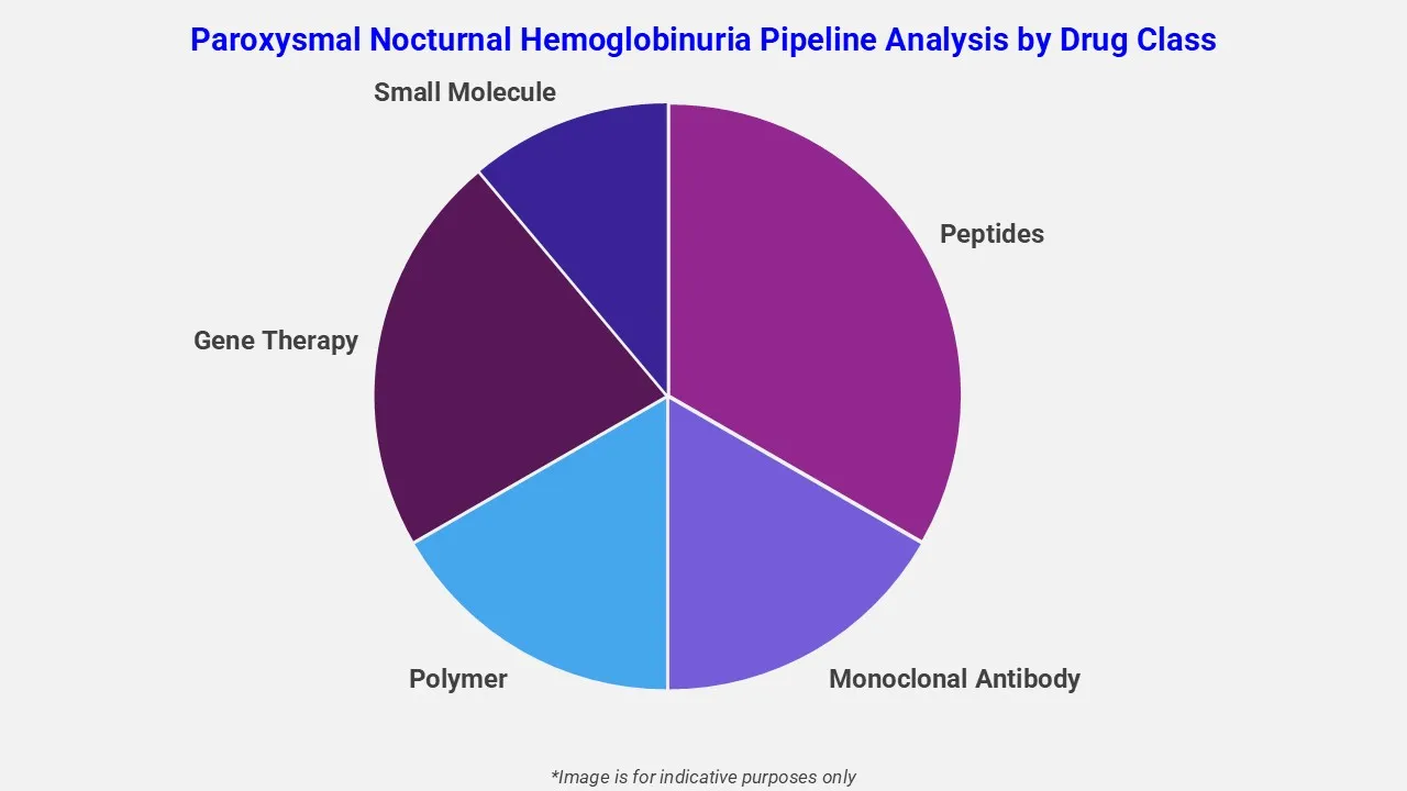 Paroxysmal Nocturnal Hemoglobinuria Pipeline Analysis By Drug Class